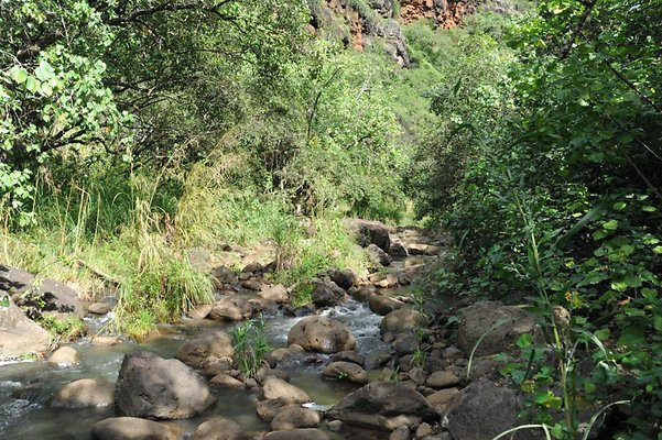 th DSC 8035 th DSC 8035