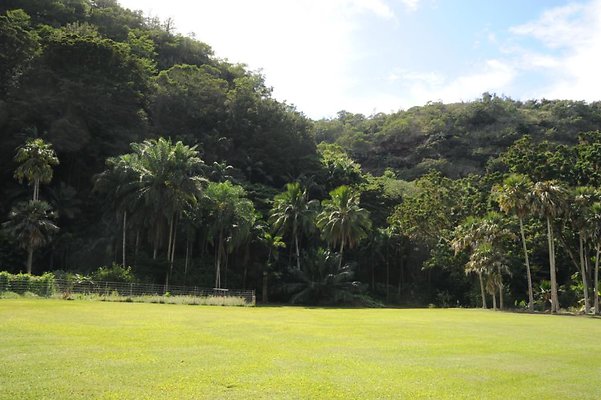 th DSC 8010 th DSC 8010