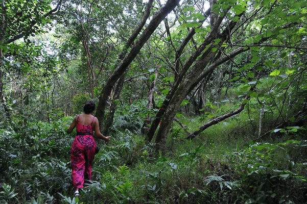 th DSC 8045 th DSC 8045