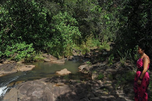 th DSC 8034 th DSC 8034