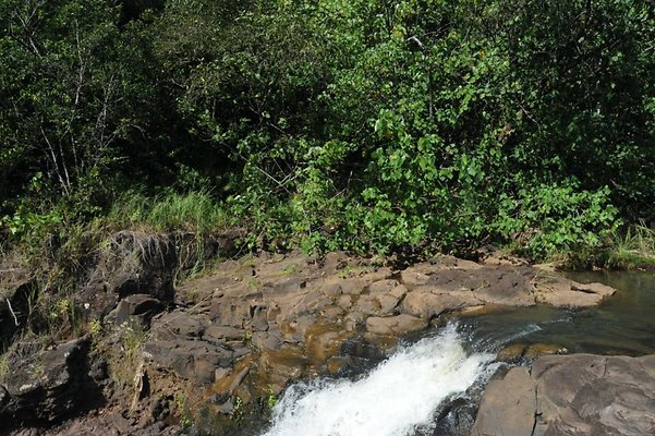 th DSC 8033 th DSC 8033