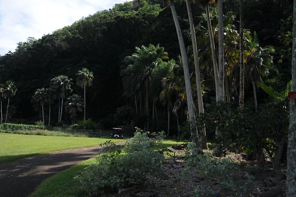 th DSC 8028 th DSC 8028