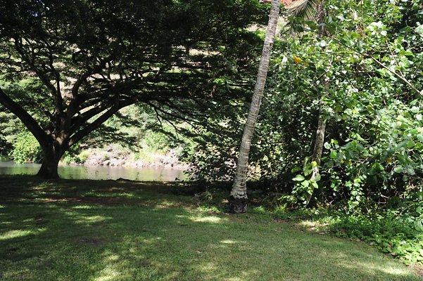 th DSC 8015 th DSC 8015