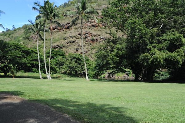 Waimea Valley
