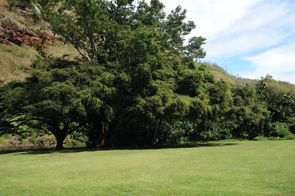 th DSC 8026 th DSC 8026