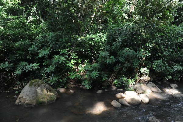 th DSC 8064 th DSC 8064