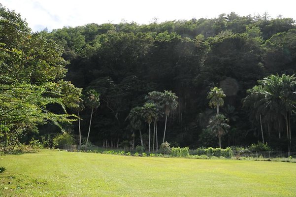 th DSC 8009 th DSC 8009