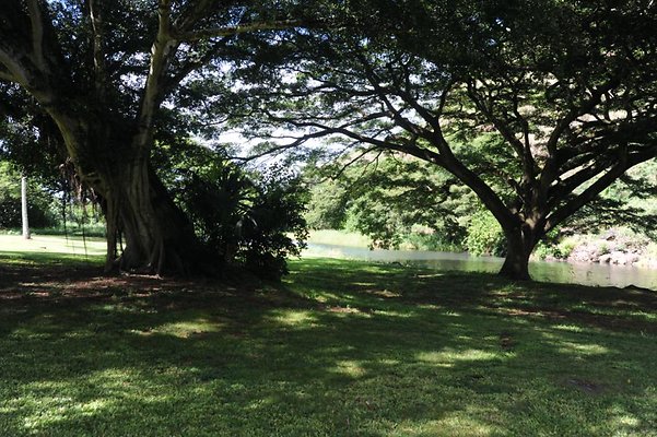 th DSC 8014 th DSC 8014