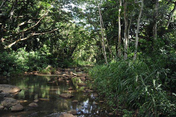 th DSC 8054 th DSC 8054