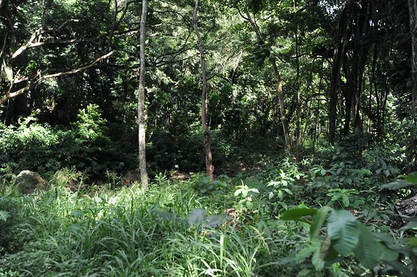 th DSC 8057 th DSC 8057