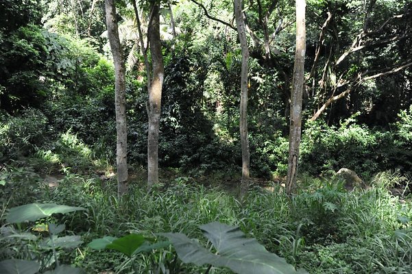 th DSC 8058 th DSC 8058