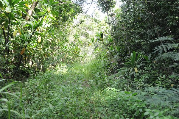 th DSC 8050 th DSC 8050