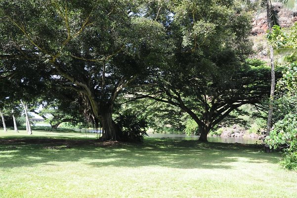 th DSC 8012 th DSC 8012