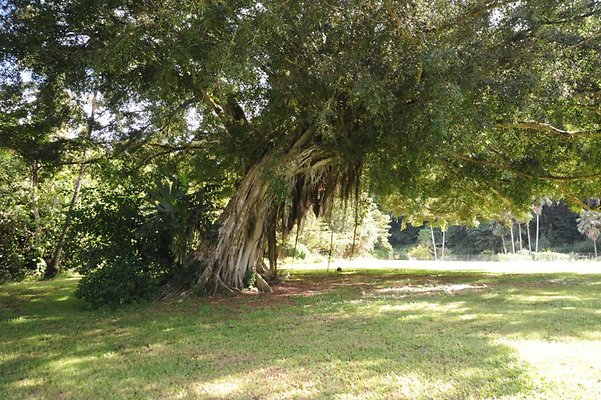 th DSC 8021 th DSC 8021