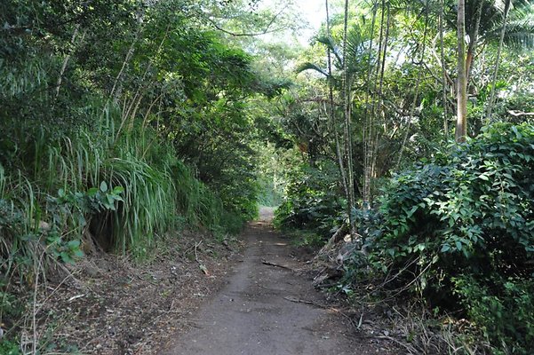 th DSC 8030 th DSC 8030