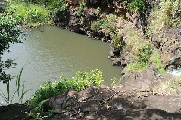 th DSC 8031 th DSC 8031