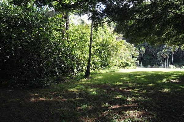 th DSC 8016 th DSC 8016