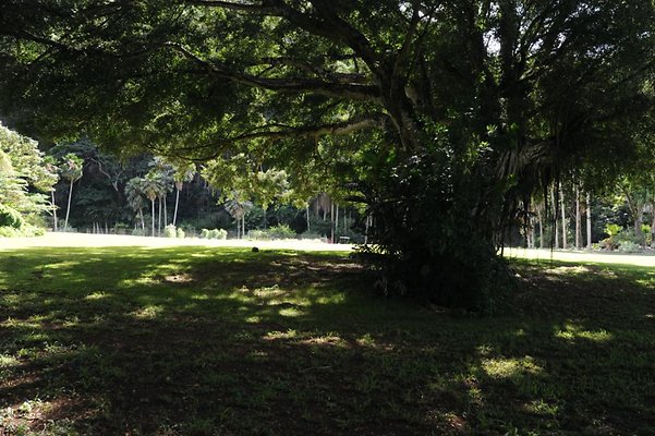 th DSC 8017 th DSC 8017