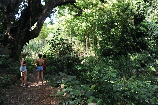 th DSC 8059 th DSC 8059