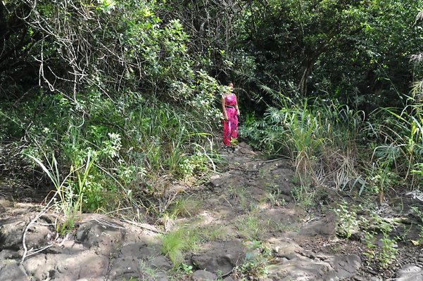 th DSC 8039 th DSC 8039