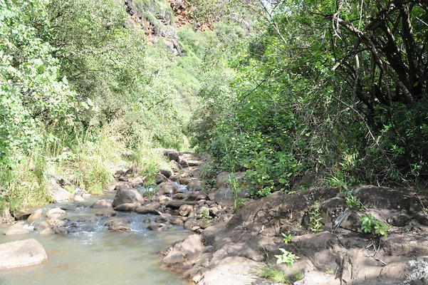 th DSC 8040 th DSC 8040