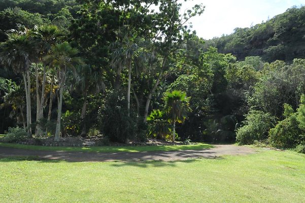 th DSC 8024 th DSC 8024