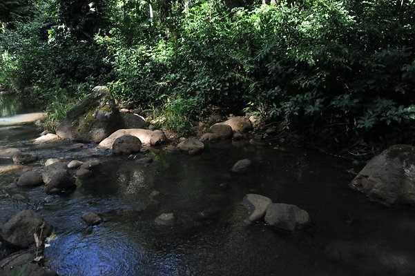 th DSC 8063 th DSC 8063