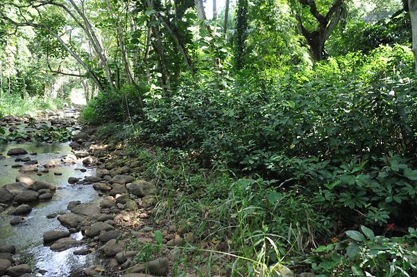 th DSC 8066 th DSC 8066