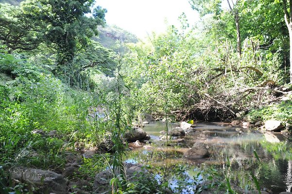 th DSC 8055 th DSC 8055