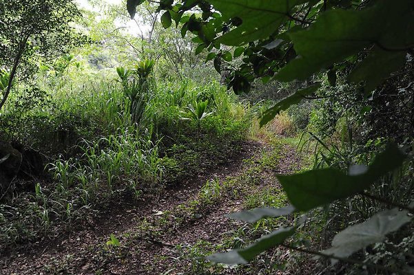 th DSC 3289 th DSC 3289