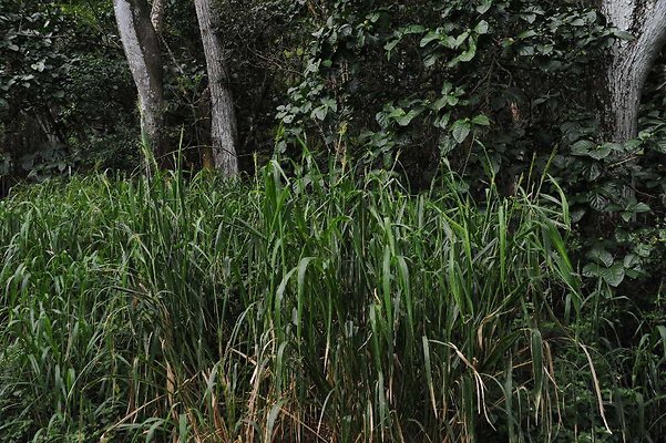 th DSC 3295 th DSC 3295