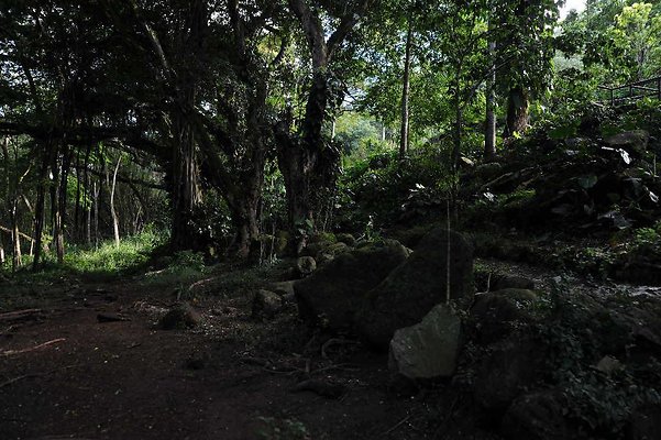 th DSC 4790 th DSC 4790