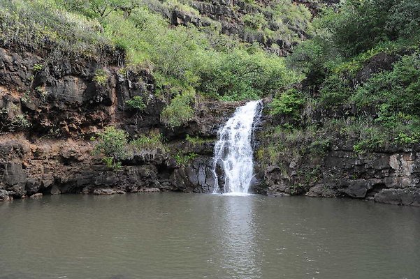 th DSC 3886 th DSC 3886