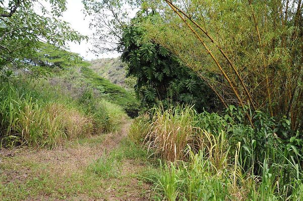 th DSC 3310 th DSC 3310