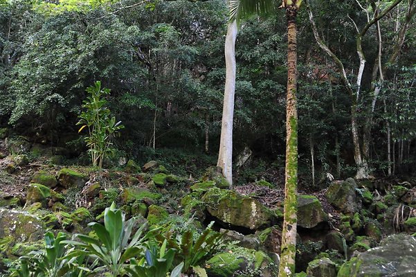 th DSC 4731 th DSC 4731