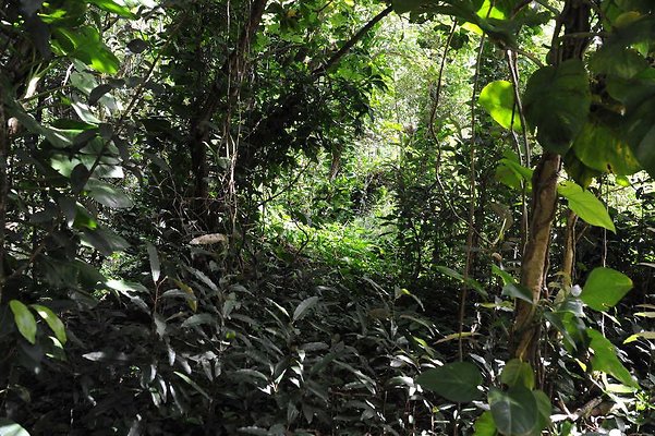 th DSC 3282 th DSC 3282