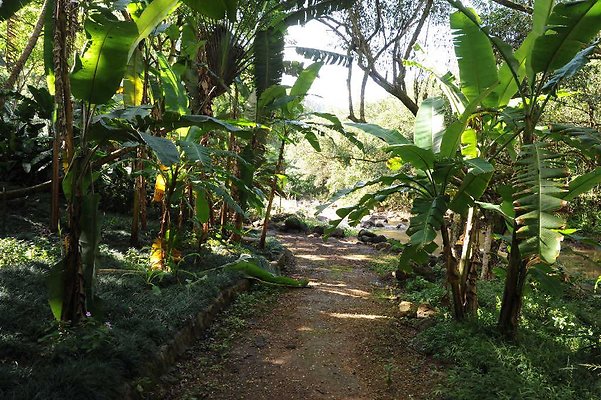 th DSC 4743 th DSC 4743