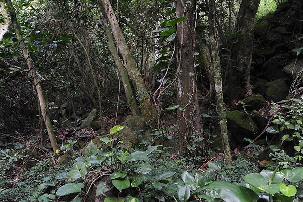 th DSC 3268 th DSC 3268