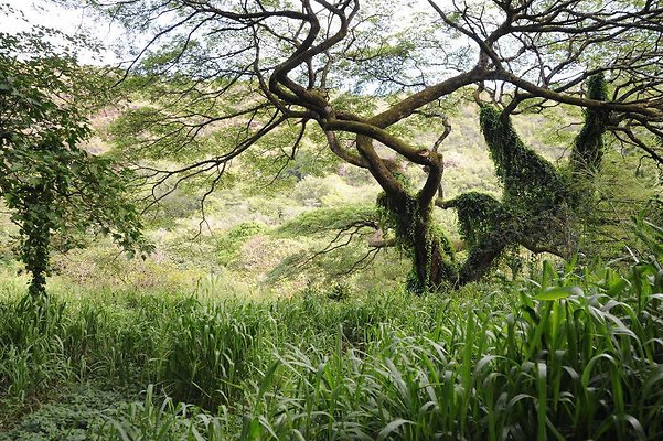 th DSC 3292 th DSC 3292