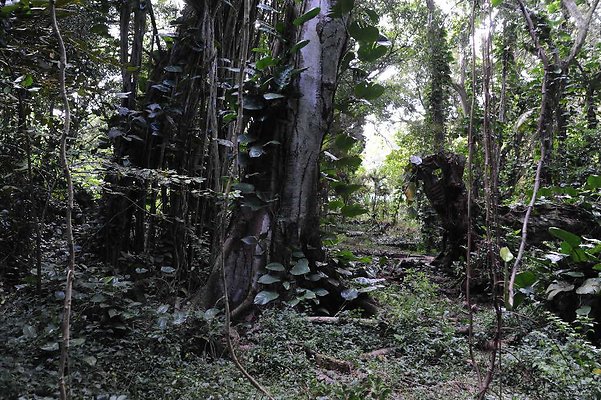 th DSC 3265 th DSC 3265