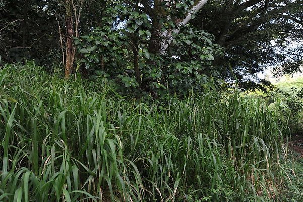 th DSC 3290 th DSC 3290