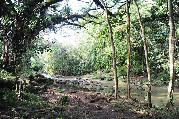 th DSC 4782 th DSC 4782