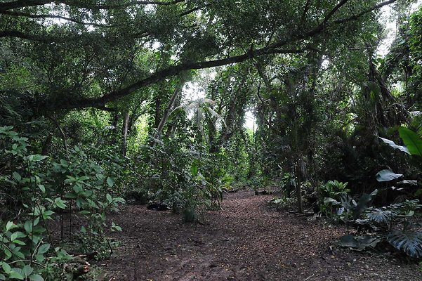 th DSC 3277 th DSC 3277