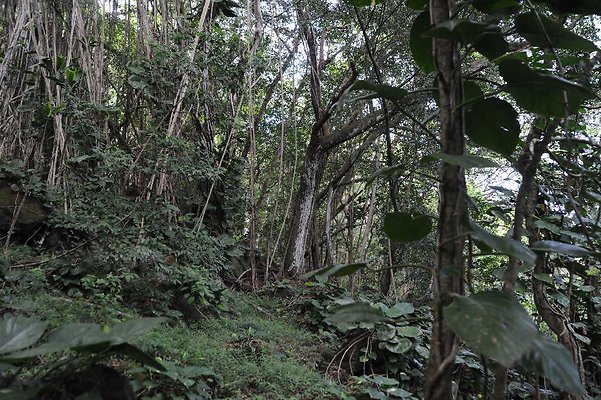 th DSC 3307 th DSC 3307