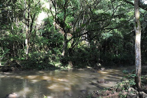 th DSC 4761 th DSC 4761