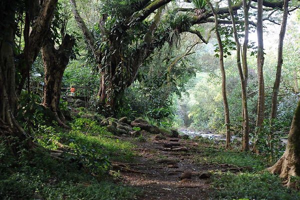 th DSC 4767 th DSC 4767