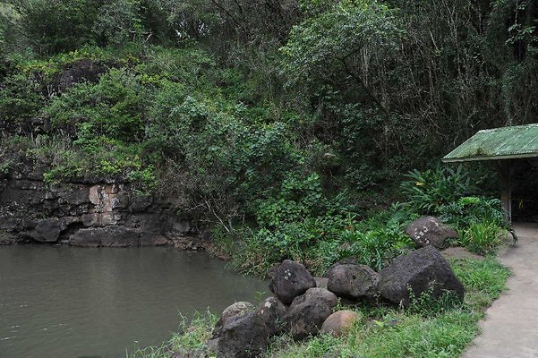 th DSC 3887 th DSC 3887