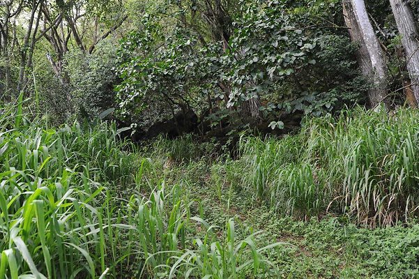 th DSC 3283 th DSC 3283