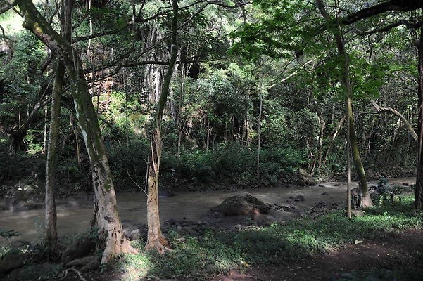 th DSC 4784 th DSC 4784