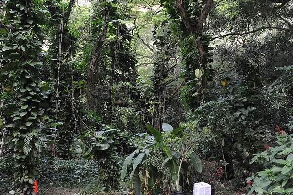 th DSC 3280 th DSC 3280